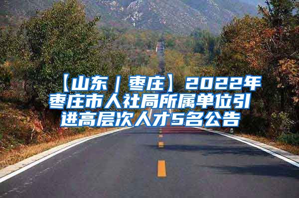 【山东｜枣庄】2022年枣庄市人社局所属单位引进高层次人才5名公告