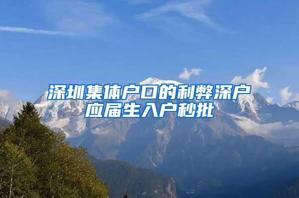 深圳集体户口的利弊深户应届生入户秒批