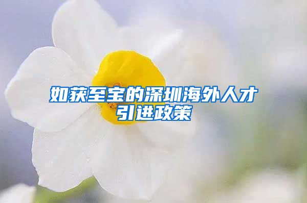如获至宝的深圳海外人才引进政策