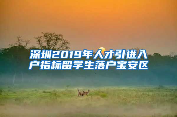 深圳2019年人才引进入户指标留学生落户宝安区