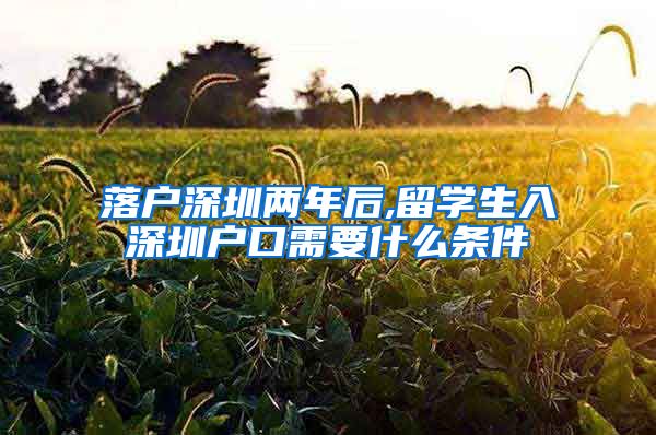 落户深圳两年后,留学生入深圳户口需要什么条件