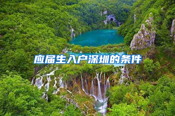 应届生入户深圳的条件