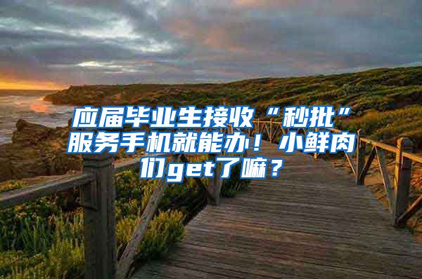 应届毕业生接收“秒批”服务手机就能办！小鲜肉们get了嘛？