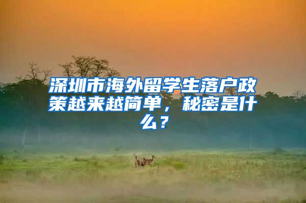 深圳市海外留学生落户政策越来越简单，秘密是什么？