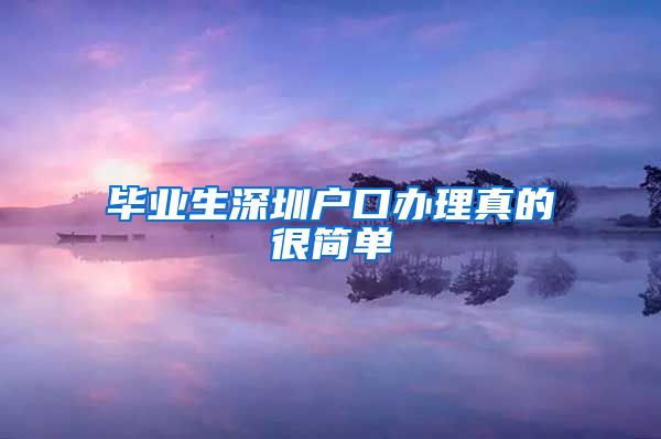 毕业生深圳户口办理真的很简单
