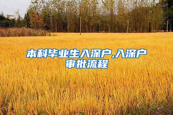 本科毕业生入深户,入深户审批流程