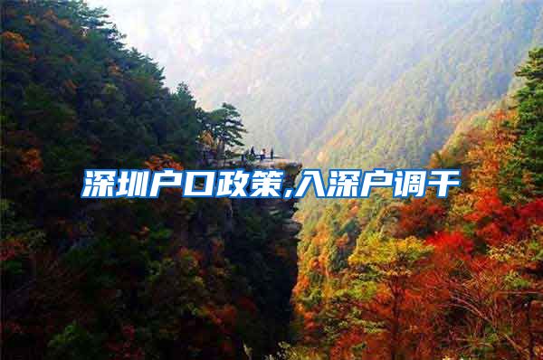 深圳户口政策,入深户调干