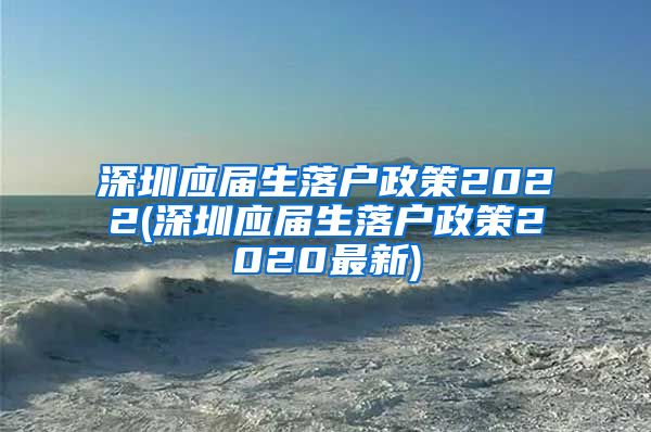 深圳应届生落户政策2022(深圳应届生落户政策2020最新)