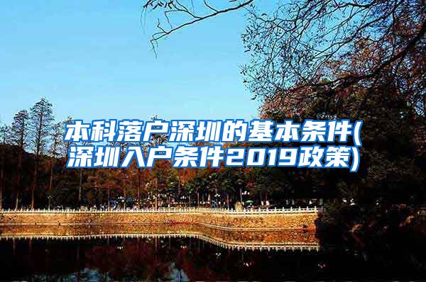 本科落户深圳的基本条件(深圳入户条件2019政策)