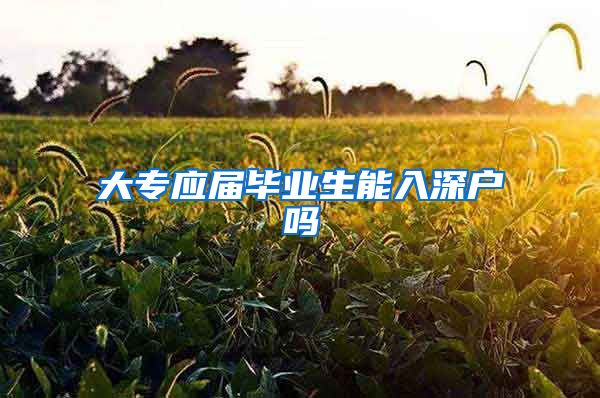 大专应届毕业生能入深户吗