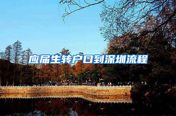 应届生转户口到深圳流程