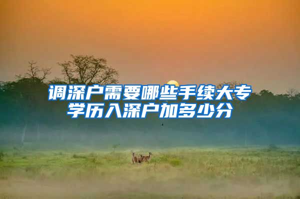 调深户需要哪些手续大专学历入深户加多少分