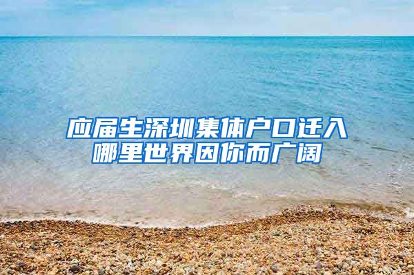 应届生深圳集体户口迁入哪里世界因你而广阔