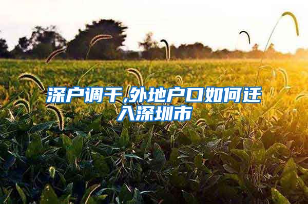 深户调干,外地户口如何迁入深圳市