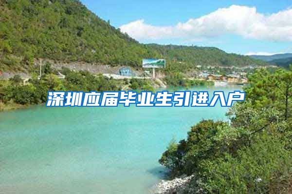 深圳应届毕业生引进入户