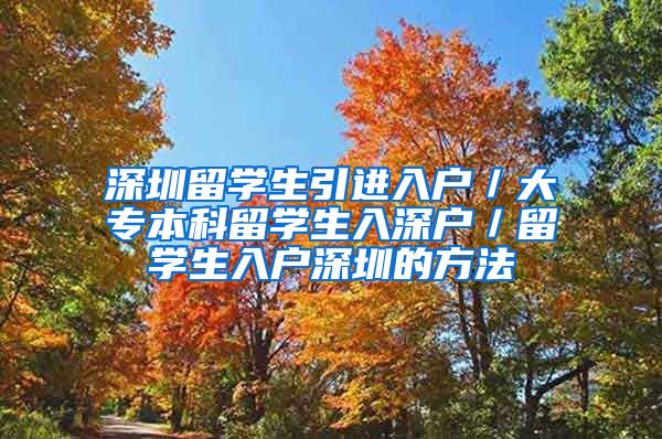 深圳留学生引进入户／大专本科留学生入深户／留学生入户深圳的方法