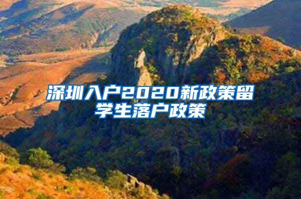 深圳入户2020新政策留学生落户政策