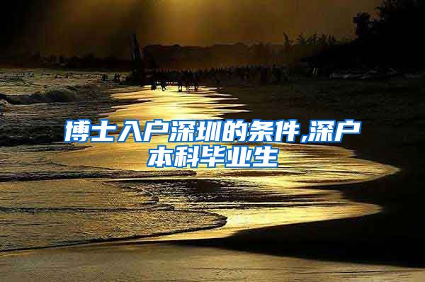 博士入户深圳的条件,深户本科毕业生