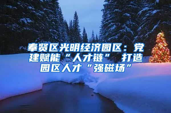 奉贤区光明经济园区：党建赋能“人才链” 打造园区人才“强磁场”