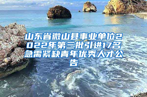 山东省微山县事业单位2022年第三批引进17名急需紧缺青年优秀人才公告