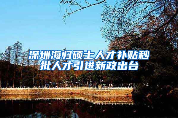 深圳海归硕士人才补贴秒批人才引进新政出台