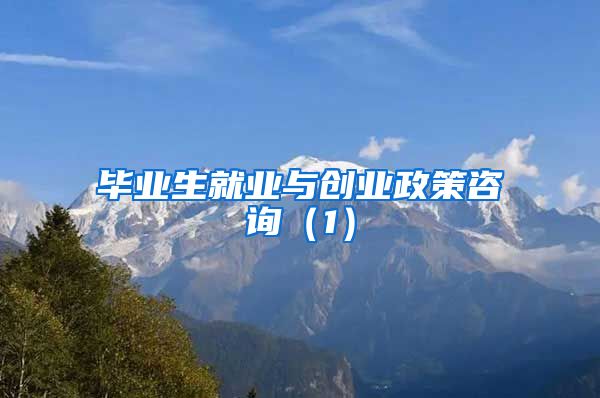 毕业生就业与创业政策咨询（1）