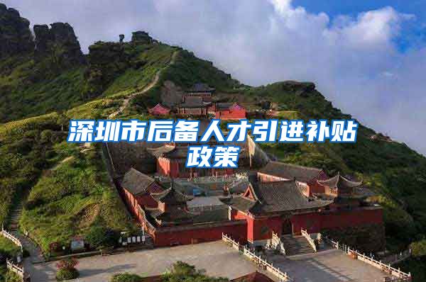 深圳市后备人才引进补贴政策