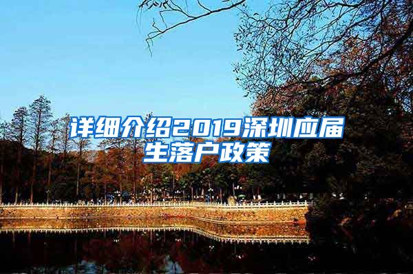 详细介绍2019深圳应届生落户政策