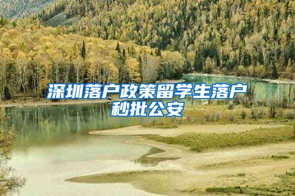 深圳落户政策留学生落户秒批公安