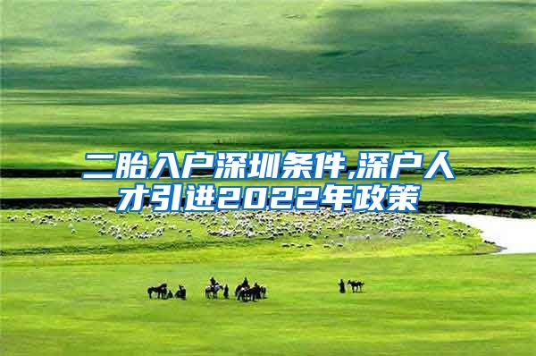 二胎入户深圳条件,深户人才引进2022年政策