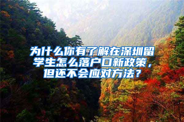 为什么你有了解在深圳留学生怎么落户口新政策，但还不会应对方法？