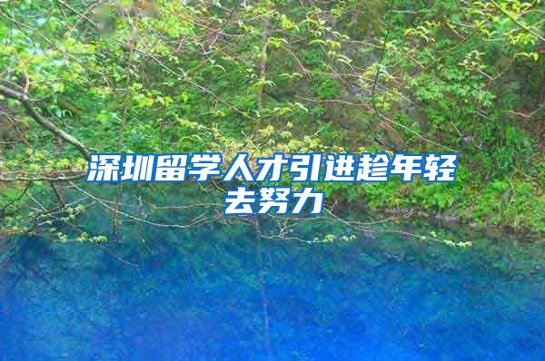 深圳留学人才引进趁年轻去努力