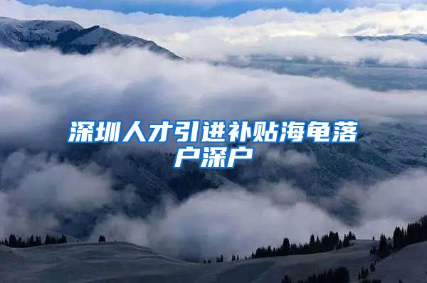 深圳人才引进补贴海龟落户深户