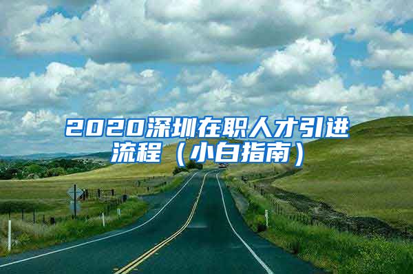 2020深圳在职人才引进流程（小白指南）