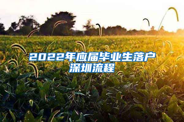2022年应届毕业生落户深圳流程