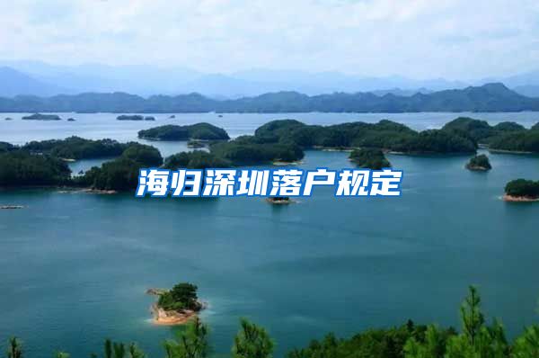 海归深圳落户规定