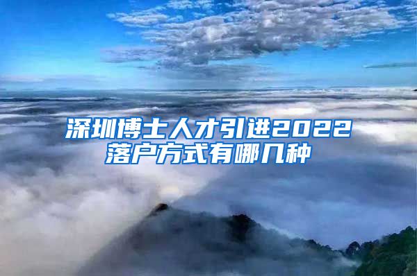 深圳博士人才引进2022落户方式有哪几种