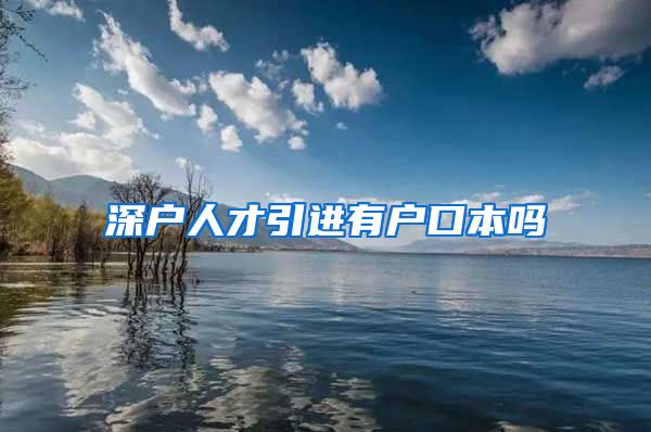 深户人才引进有户口本吗
