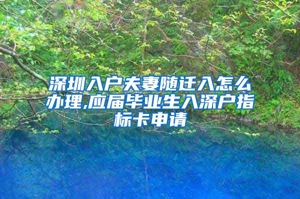 深圳入户夫妻随迁入怎么办理,应届毕业生入深户指标卡申请