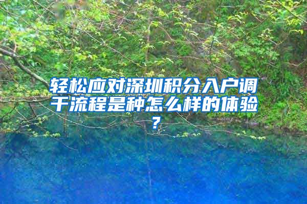 轻松应对深圳积分入户调干流程是种怎么样的体验？