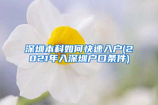 深圳本科如何快速入户(2021年入深圳户口条件)