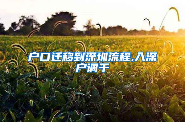 户口迁移到深圳流程,入深户调干