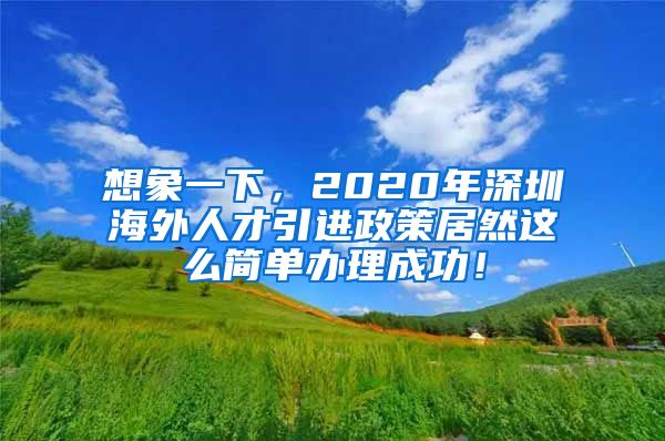 想象一下，2020年深圳海外人才引进政策居然这么简单办理成功！