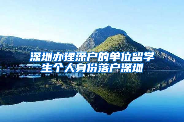 深圳办理深户的单位留学生个人身份落户深圳