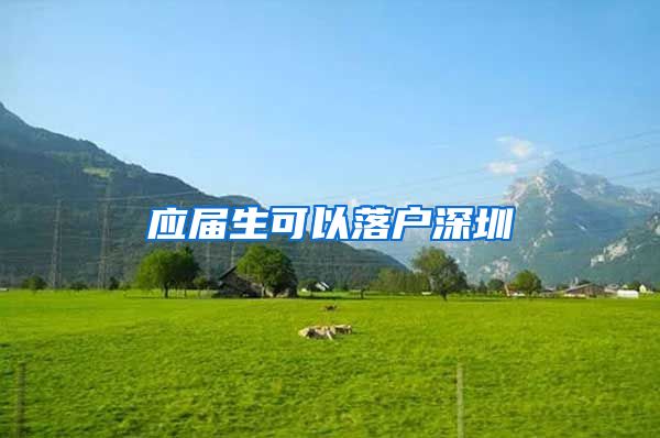 应届生可以落户深圳
