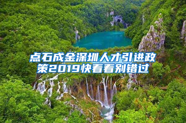 点石成金深圳人才引进政策2019快看看别错过