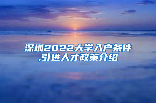深圳2022大学入户条件,引进人才政策介绍