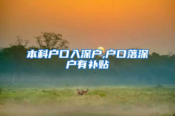 本科户口入深户,户口落深户有补贴