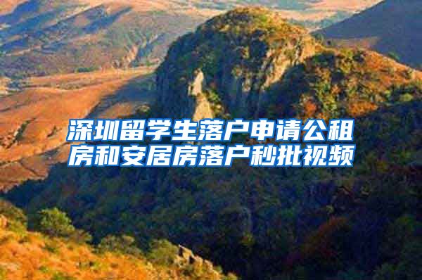深圳留学生落户申请公租房和安居房落户秒批视频