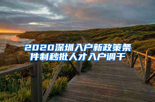 2020深圳入户新政策条件制秒批人才入户调干